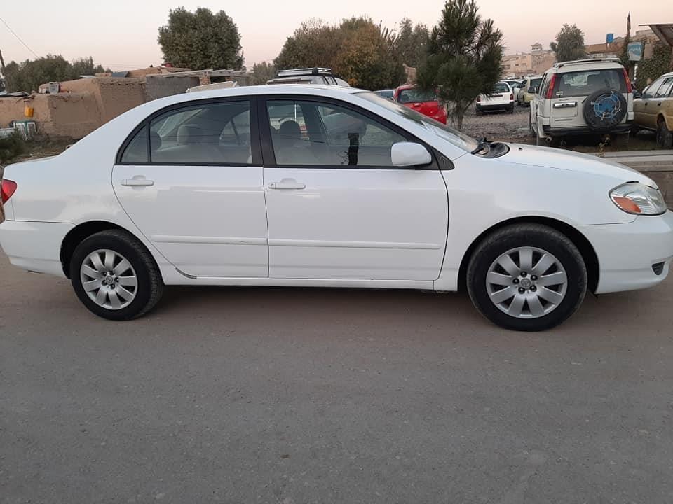 دتليفون-شمير-0700334262