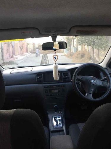 نرخیه کلدری دی