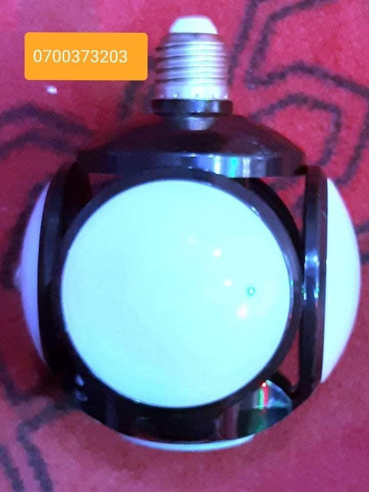 برقي-قنديل