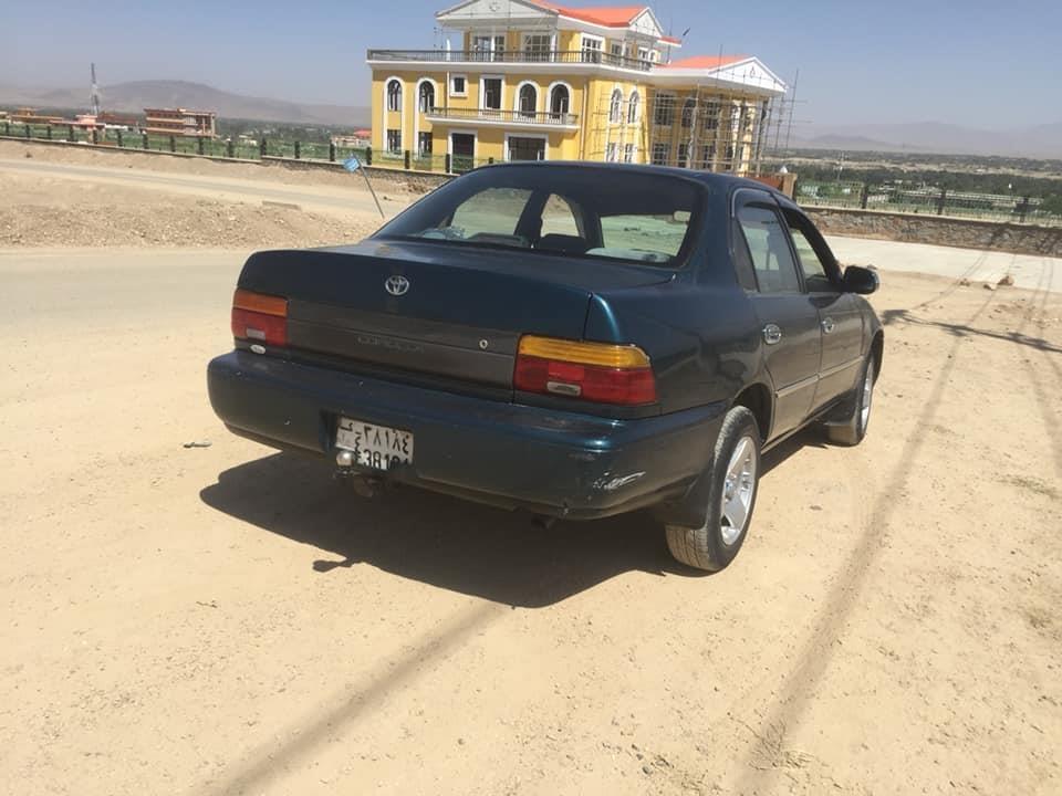 فروش-و-مالچه-0784059050