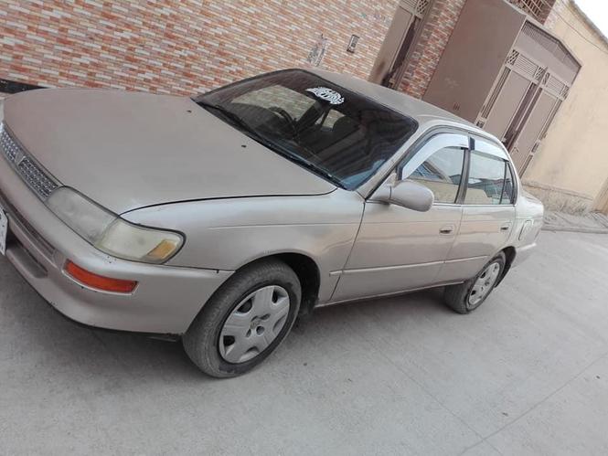موتر