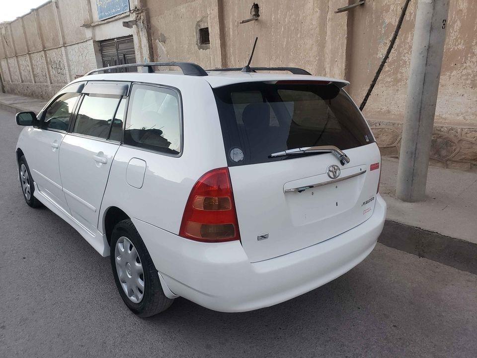 دخرڅ-فلدر-روغ-کورنی-چلیدلی