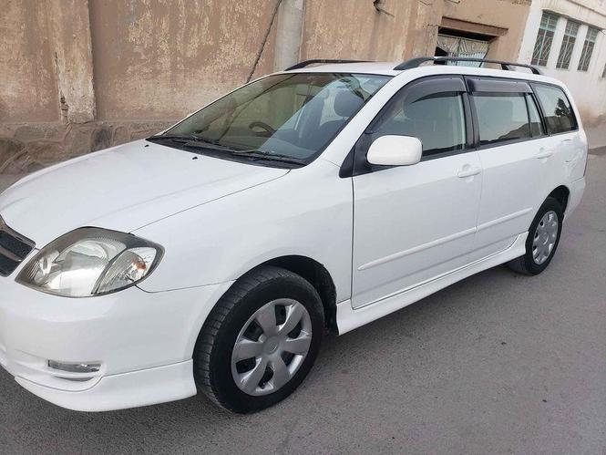 دخرڅ فلدر روغ کورنی چلیدلی