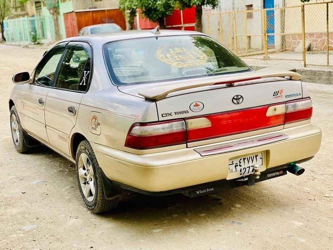 کرولا