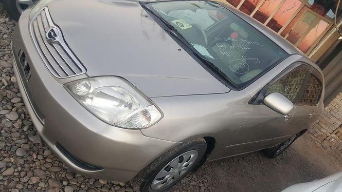X 2003 روغ کوچنی ماشین