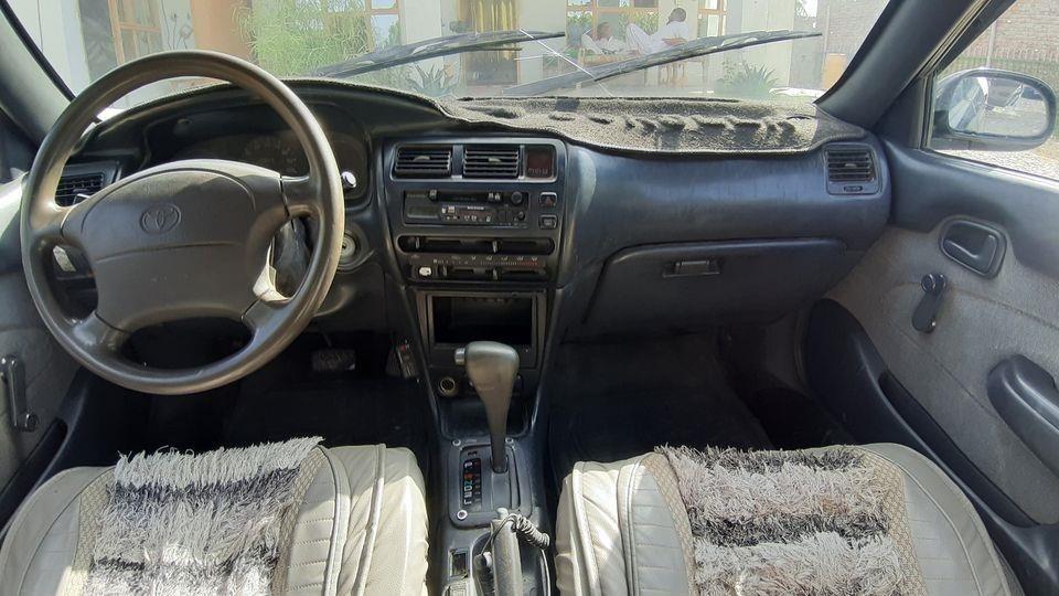 جنس-کرولا-کانډایی