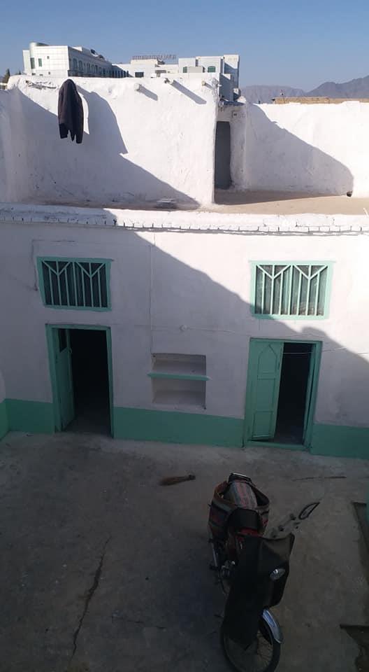 د-خرس-کور-0700370281-00707580709