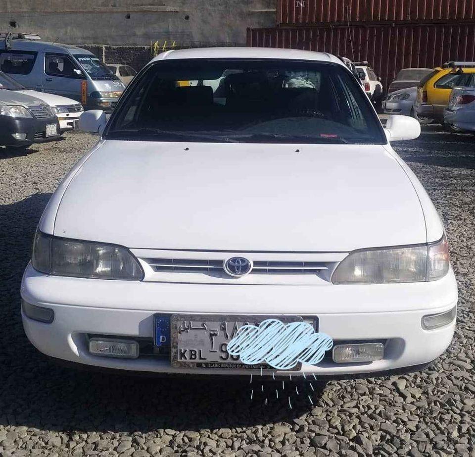 کرولا-کانادایی