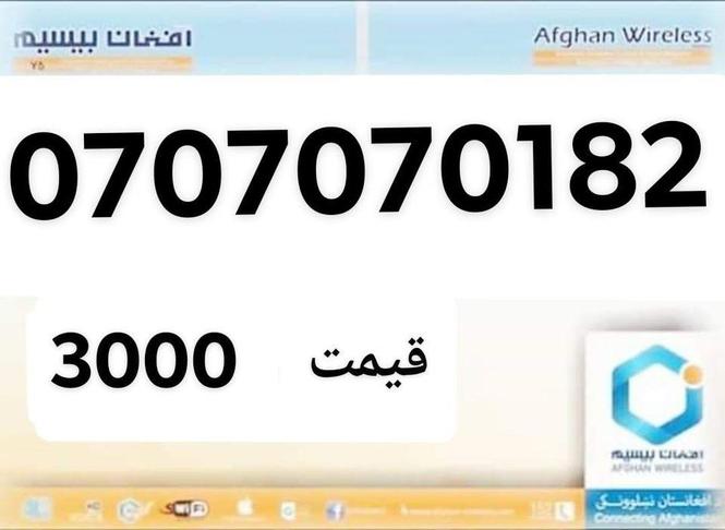 نوټ. تذکیری کافی او دوی قعطی عکسونه ضوروری دی