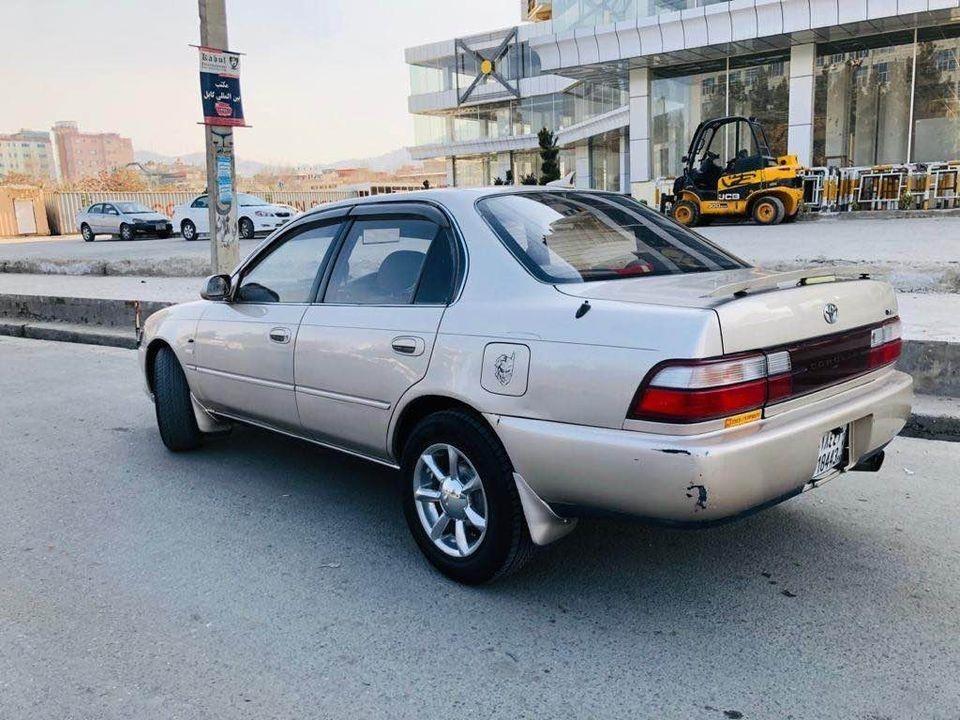 فروش-و-مالچه-0784059050