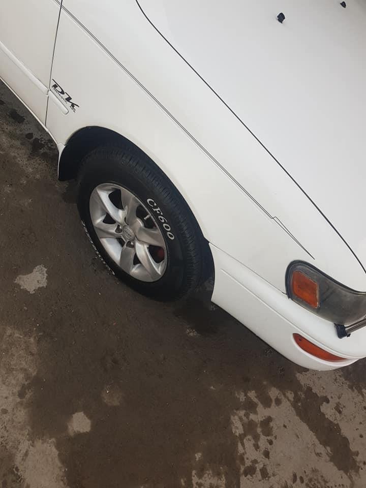 کورولا-کانادای