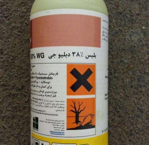 ارسال و فروش بذر بلیس