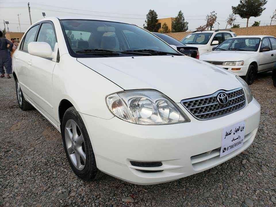 شمیره-0704974244