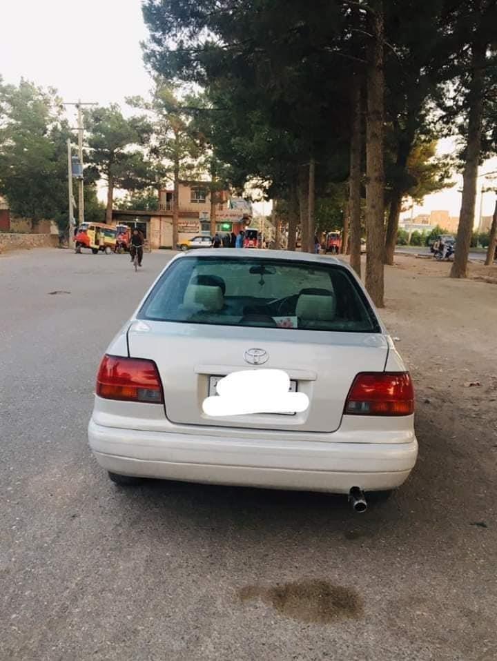 فروش-شیپ-خوستی