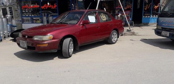 کرولای کانادایی