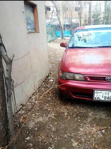 کرولای کانادایی