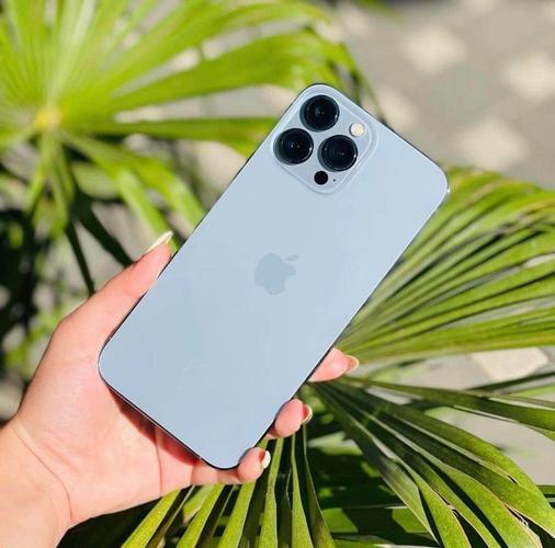 iPhone 13 Pro Max