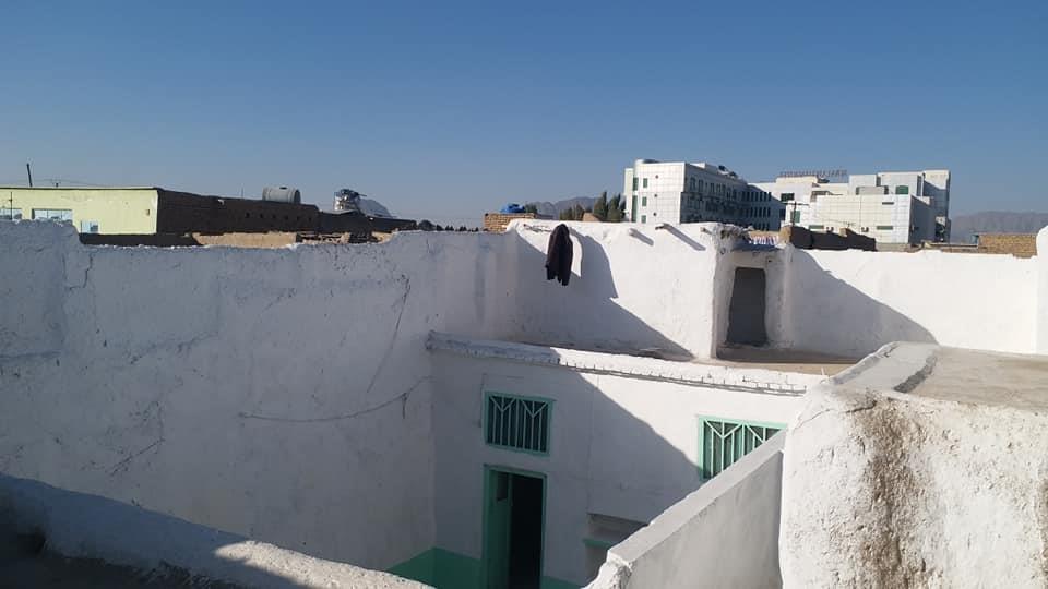 د-خرس-کور-0700370281-00707580709