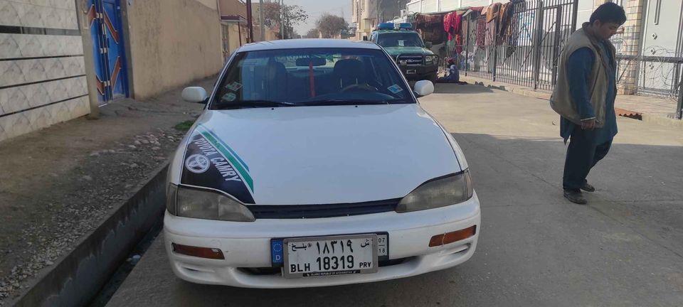 فروش-و-مالچه