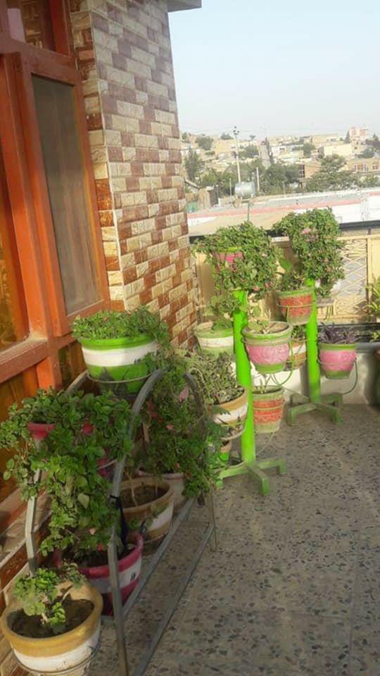 برای-کرایه