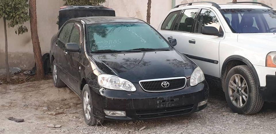 ټوډی-خلیجی