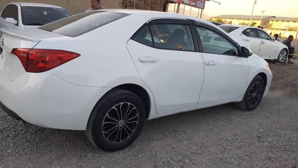 ټوډی-کاناډایی