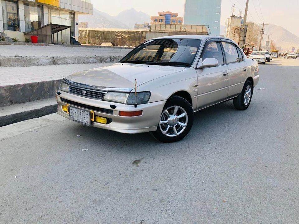 فروش-و-مالچه-0784059050