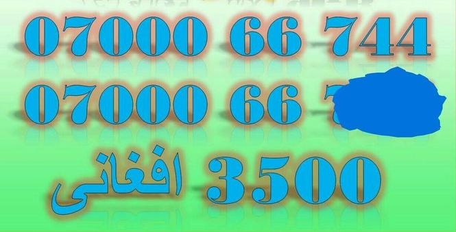 ‎دوی قطعی عکسونه او د تذکیری کافی ضرور دی.