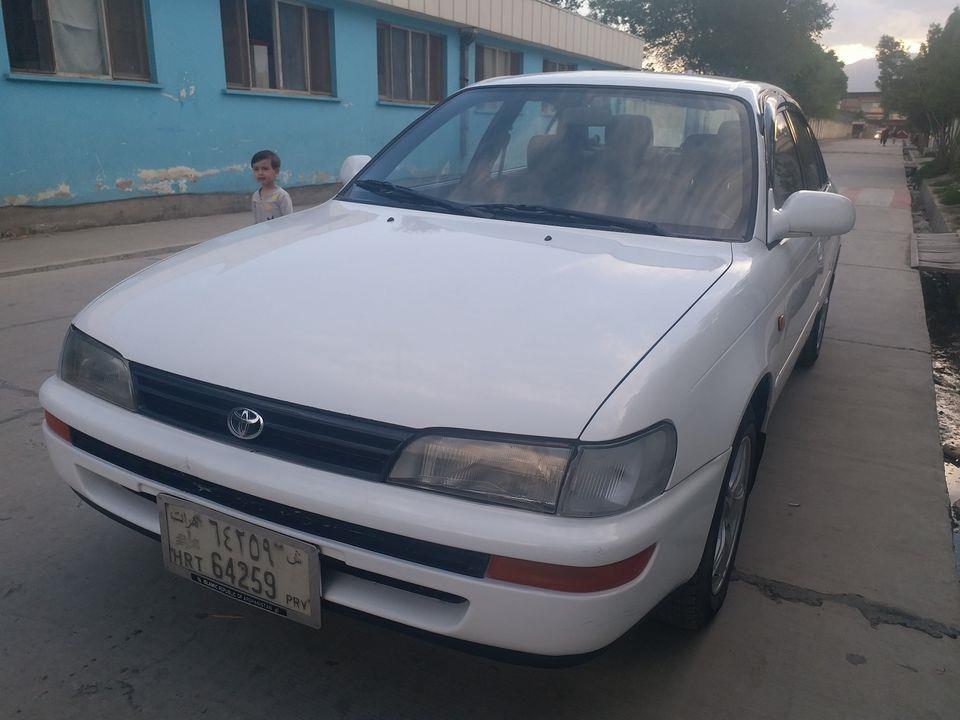 کرولای-جرمنی--