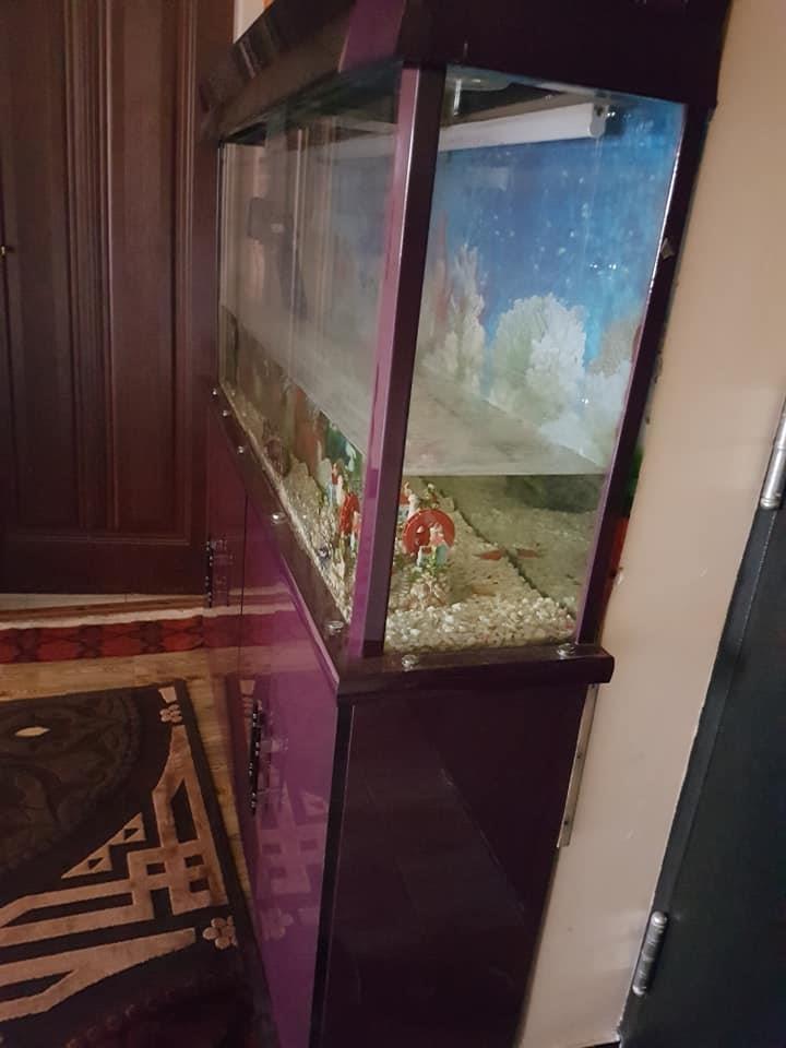 ماهی-خانه