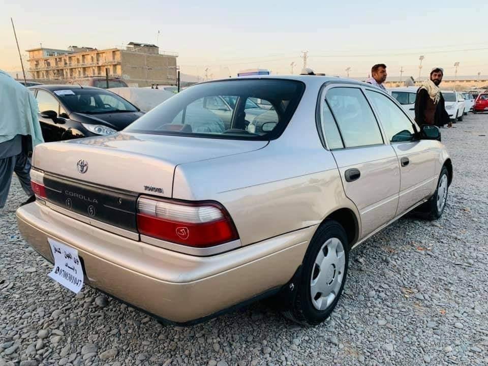 ---شمیره-0704974244---