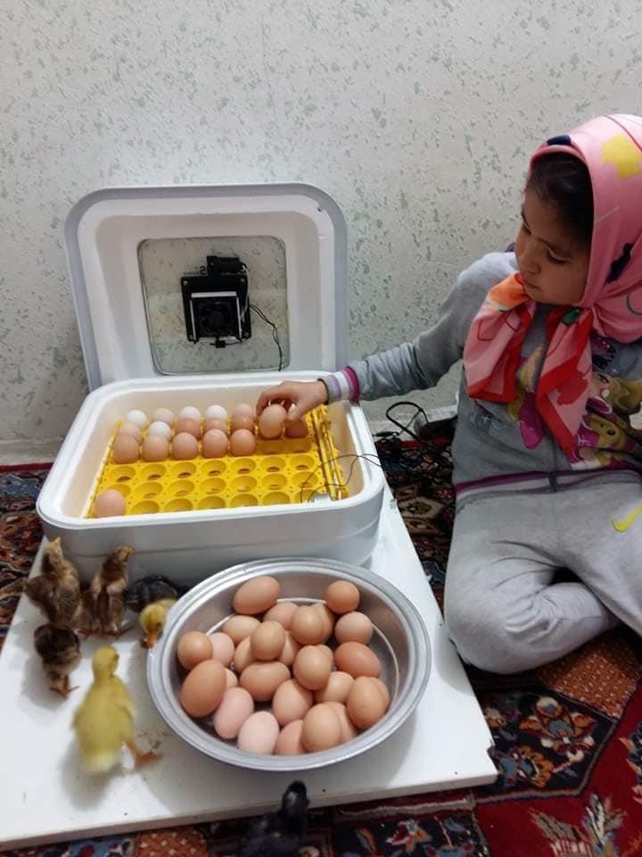 کسب-کارخانگی-درست-کنید