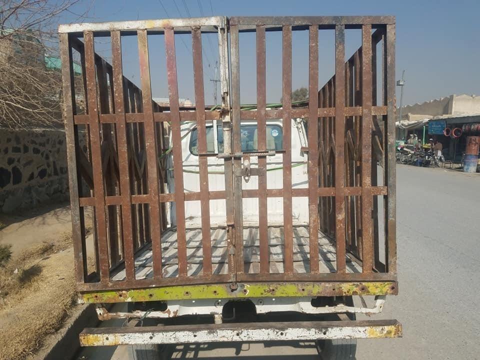 عاجل-گیراک-بادی-داره-سکوزکی