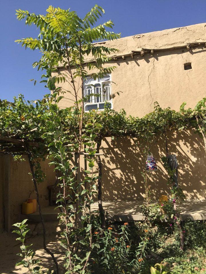 زمين-و-باغ-فروشي