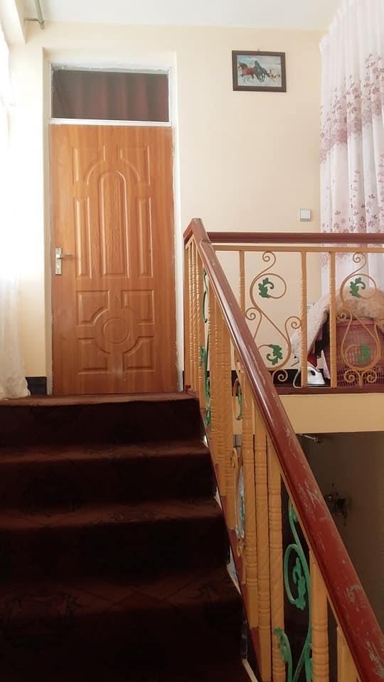 دارلامان