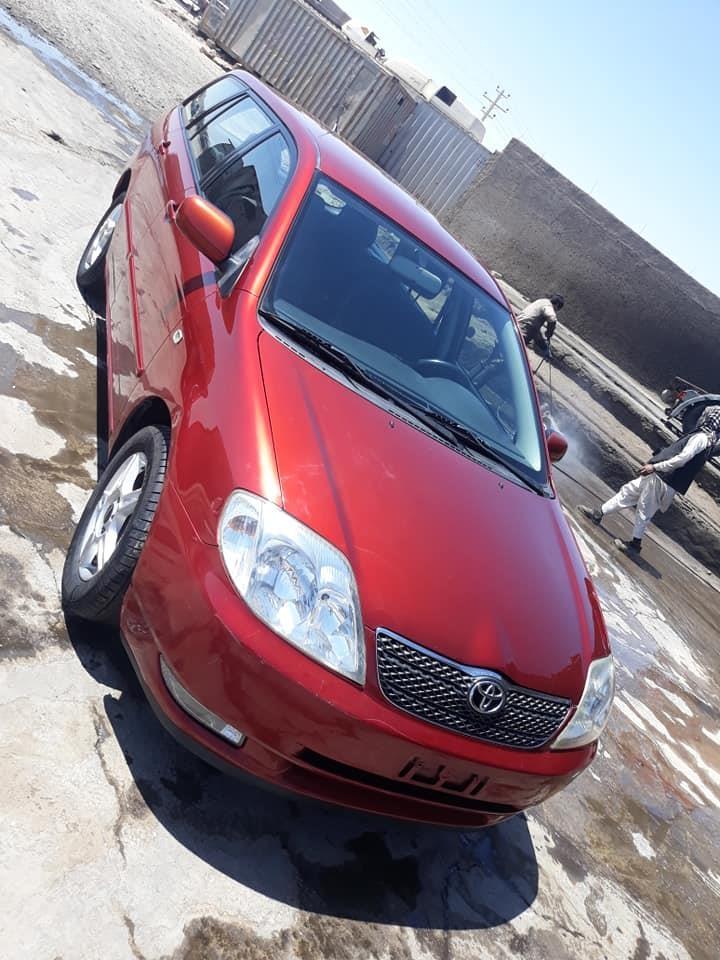 جرمنی-فلدر