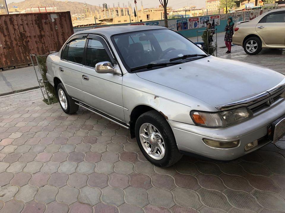 کرولا-کانادایی