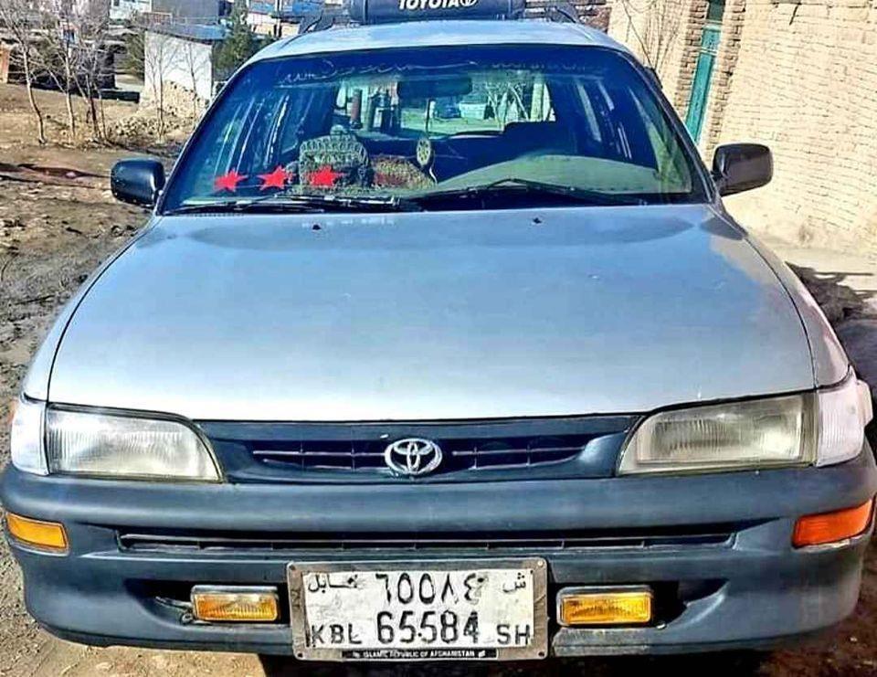 فروش-و-مالچه
