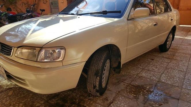 دو دانه شبپ خوستی