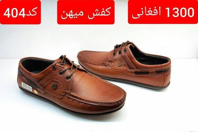 ایکو