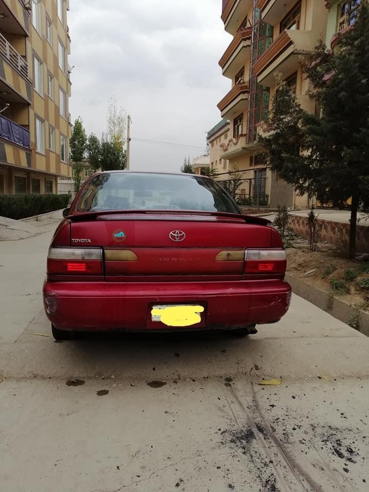 کرولا-کانادایی-مول-97
