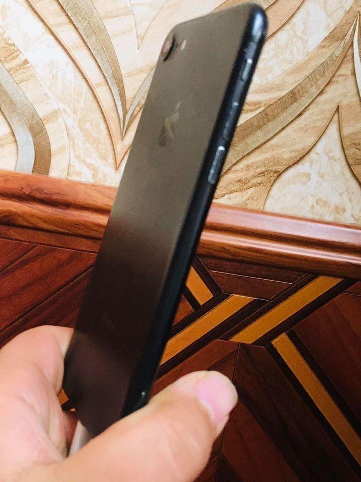 فروش-و-مالچه-0784132022