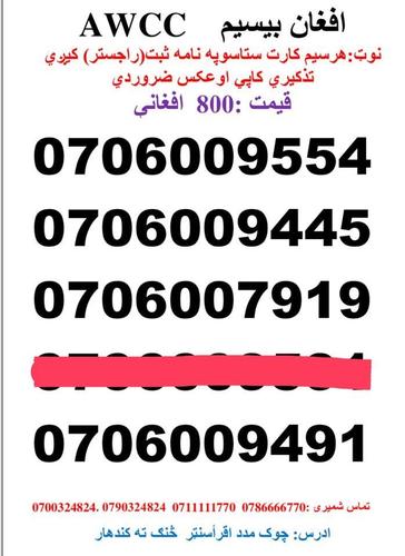 تماس شمیری: 0786666770 0711111770 وتسف نمبر : Whatsa