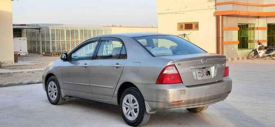 G-توډی-2005-روغ
