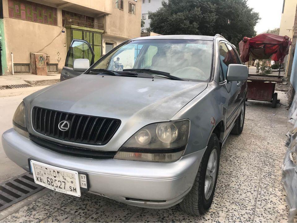 فروش-و-مالچه