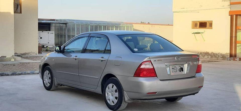 0708273835-2006-G-0798419161