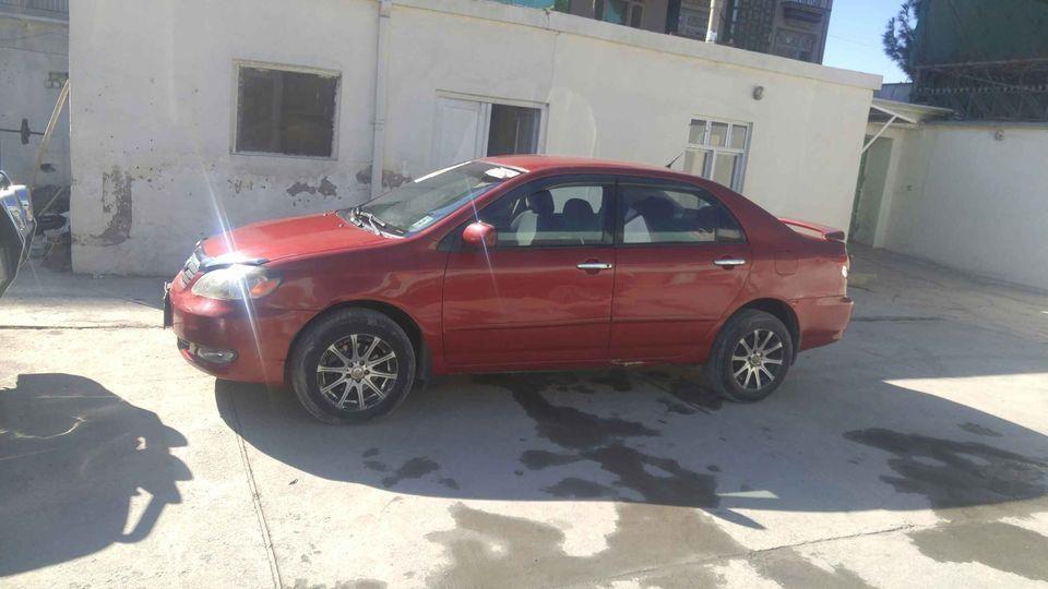 کورولا