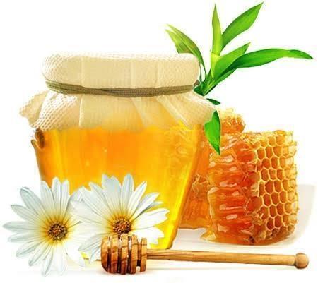 عسل خالص و طبیعی