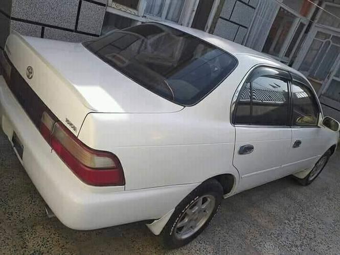 شماره تماس 0791209070
