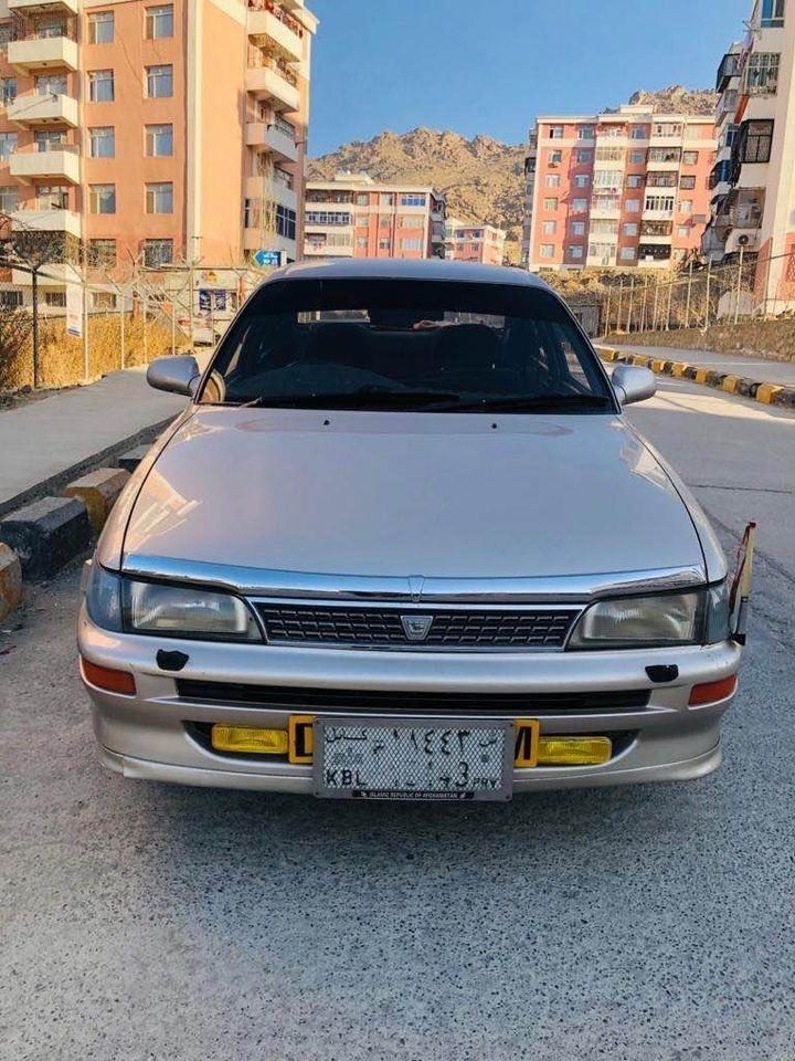 فروش-و-مالچه-0784059050